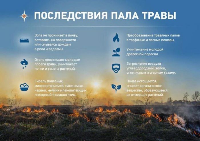 Последствия пала травы.